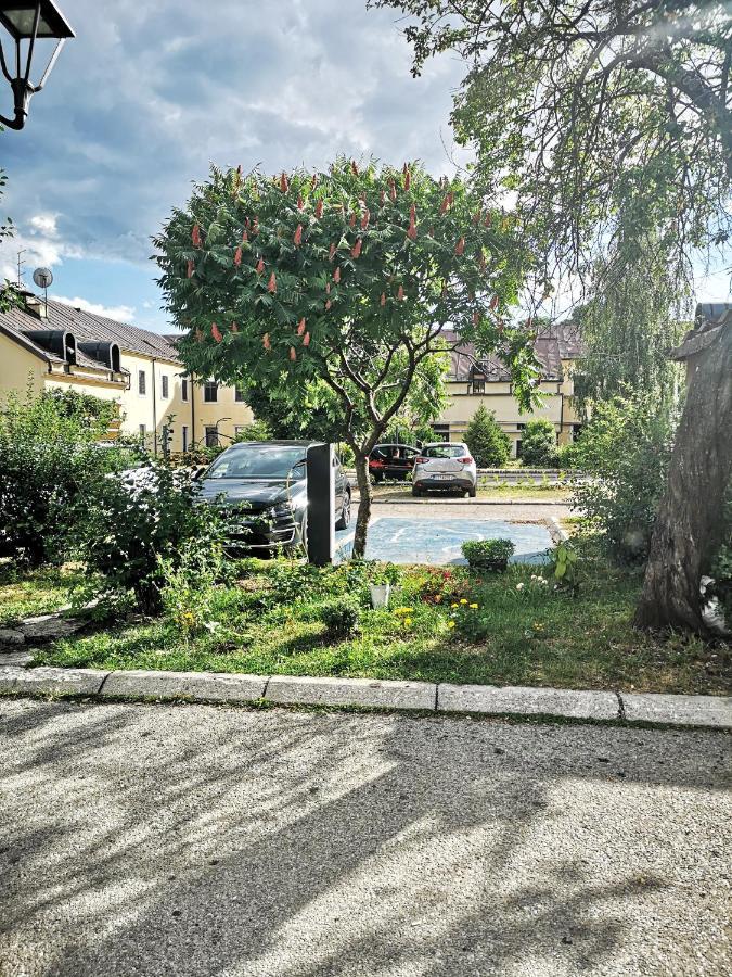 Apartman Sunny Lägenhet Cetinje Exteriör bild